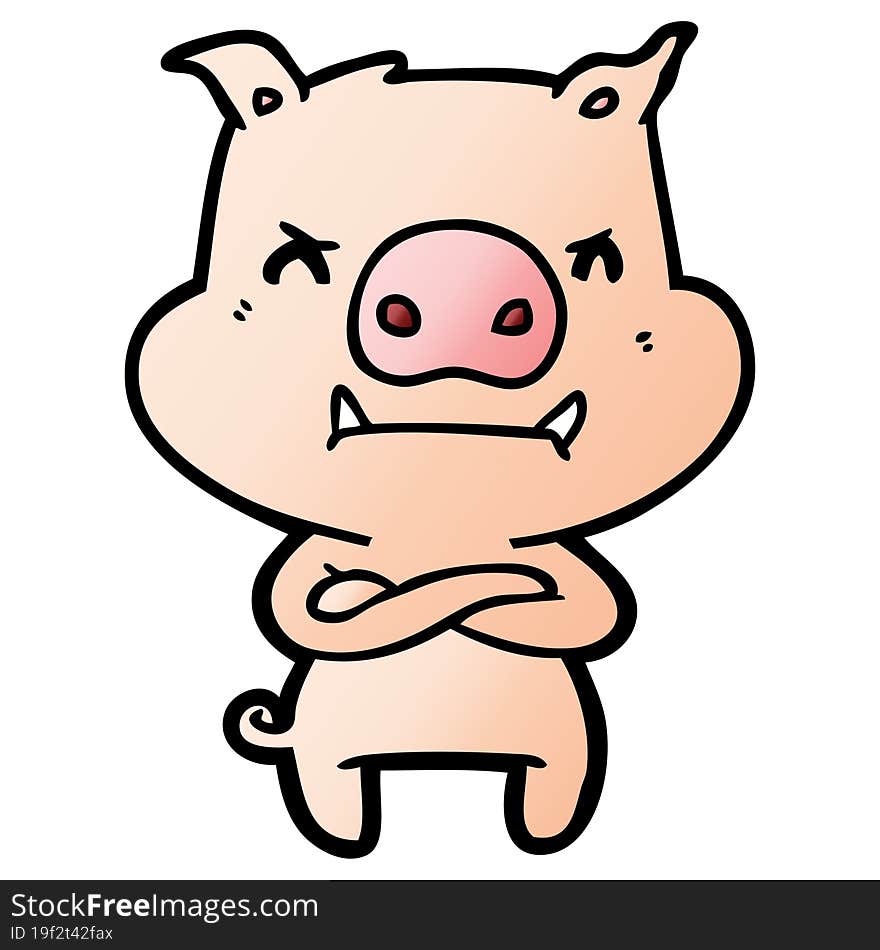 angry cartoon pig. angry cartoon pig