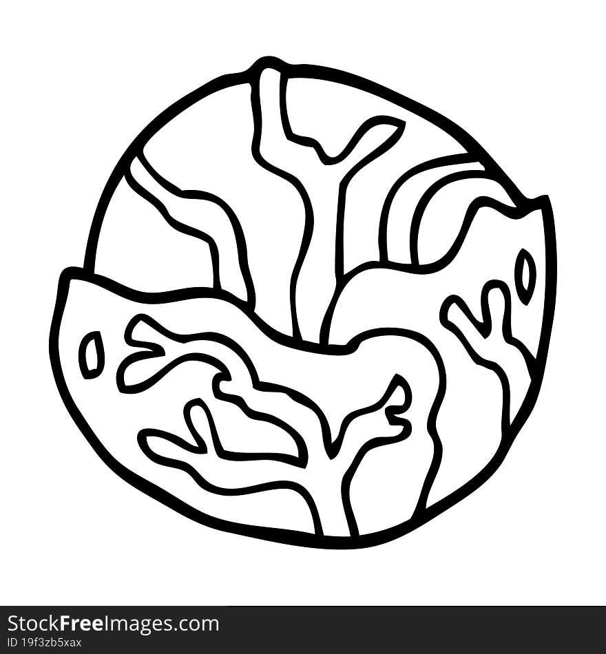 line drawing cartoon cabbage