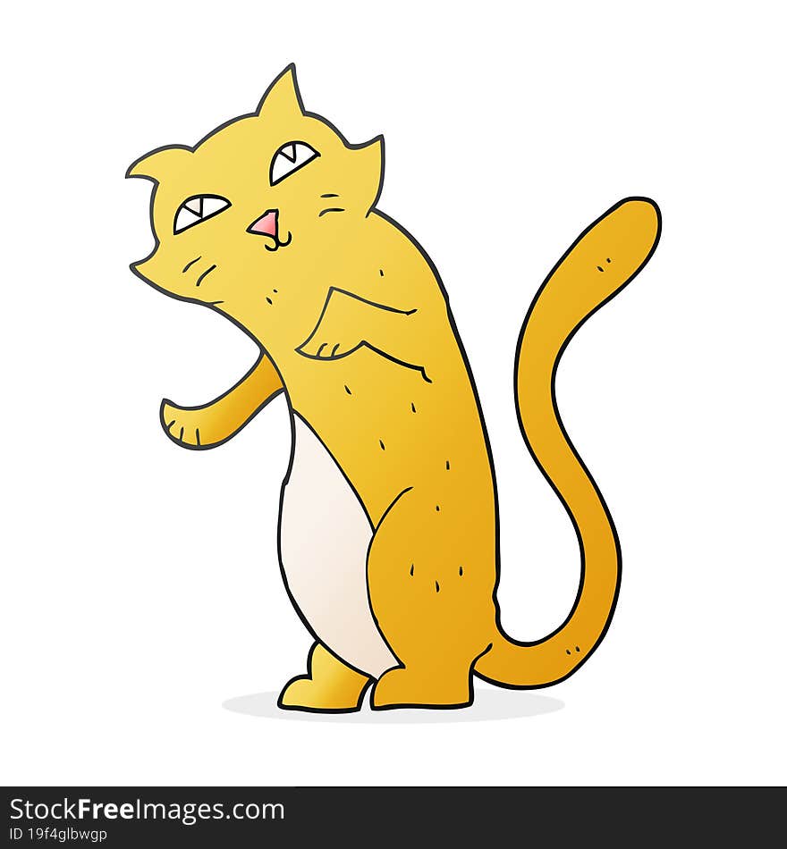 cartoon cat