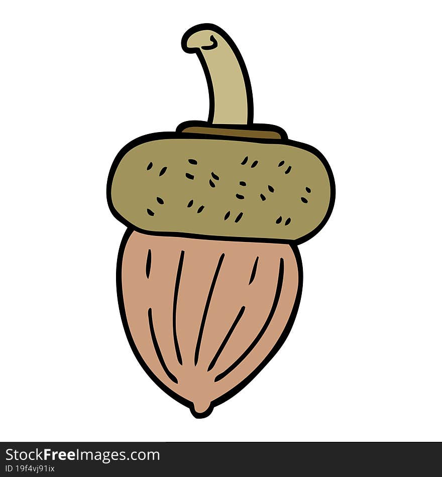 cartoon doodle acorn