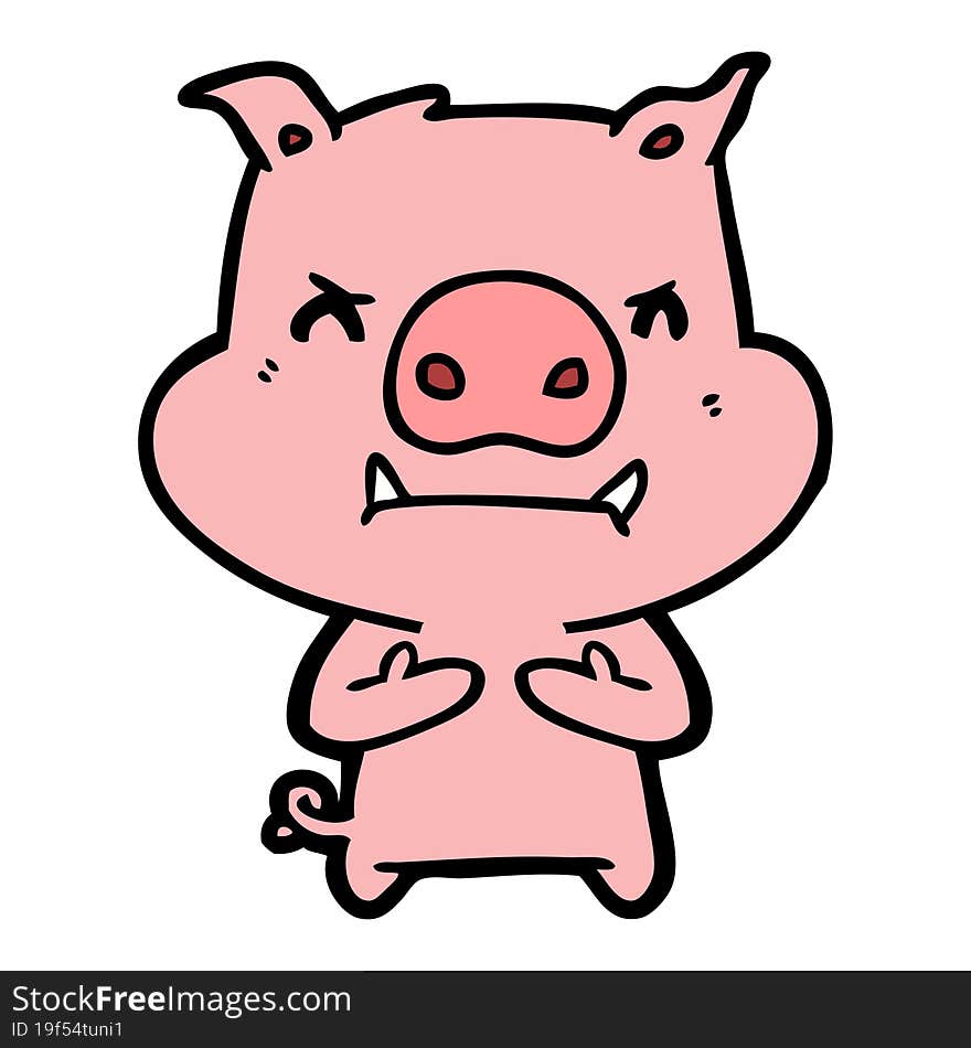 angry cartoon pig. angry cartoon pig