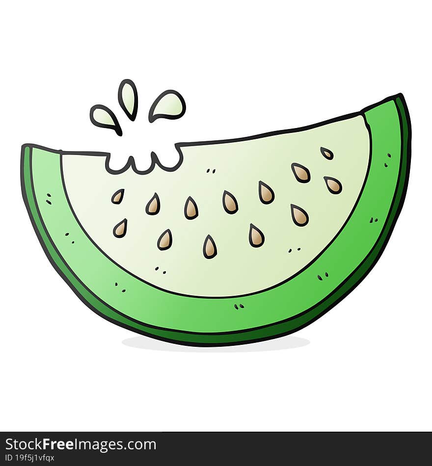 freehand drawn cartoon melon slice