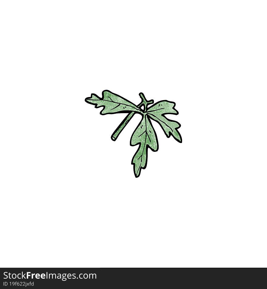 Leaf Illustration