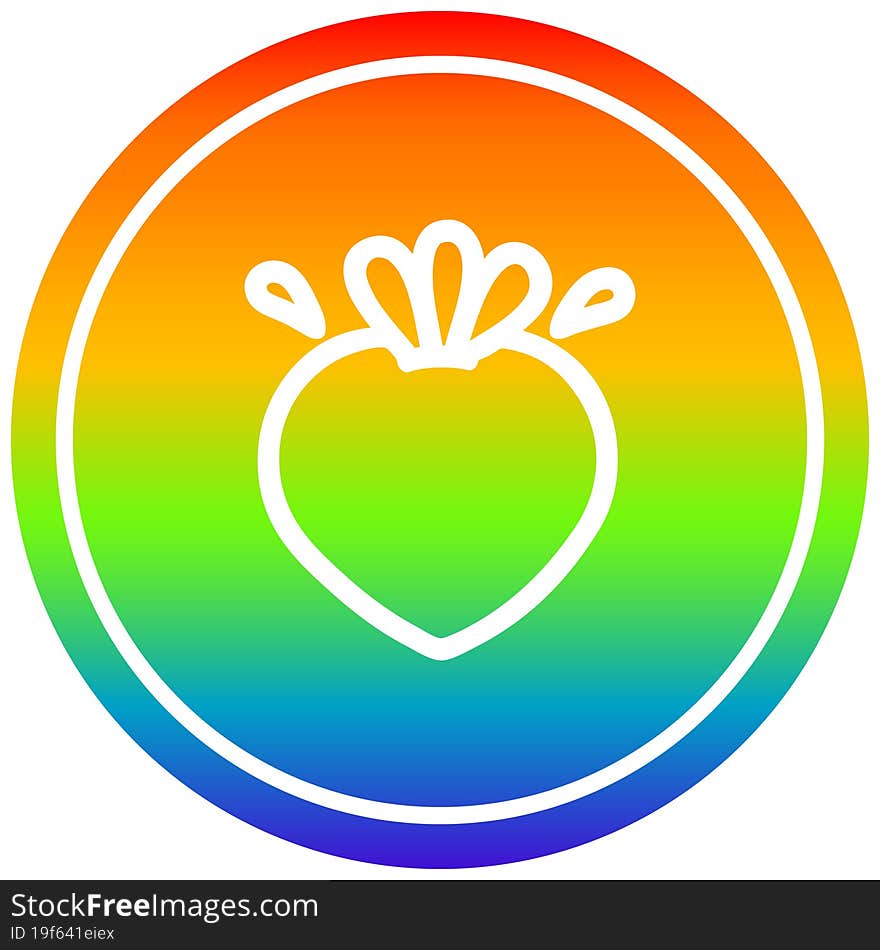 fresh fruit circular in rainbow spectrum