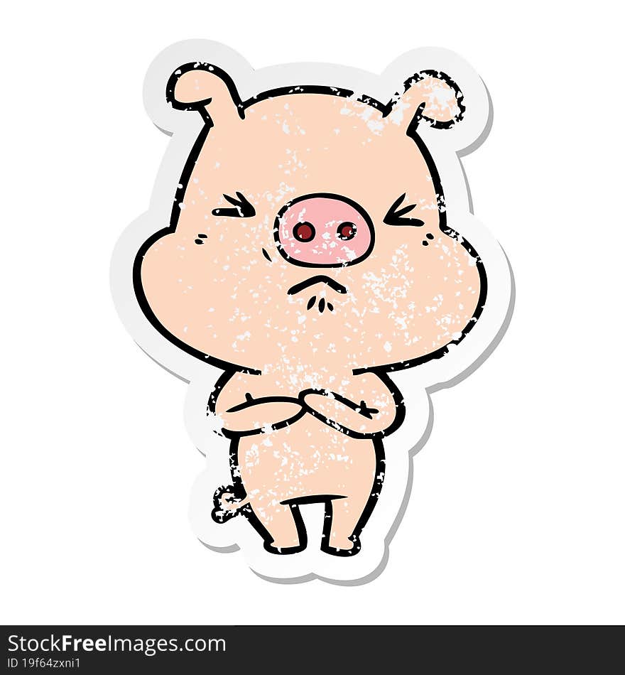 distressed sticker of a cartoon angry pig