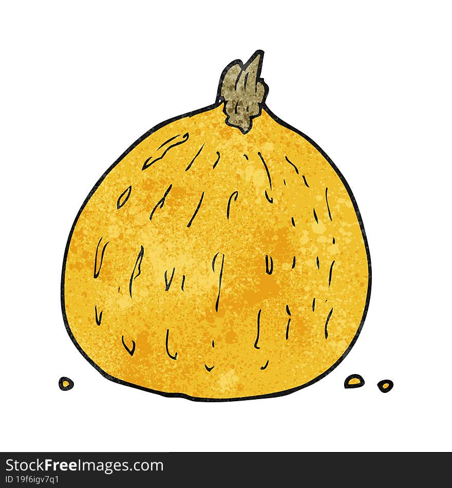 Textured Cartoon Squash