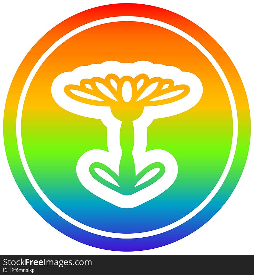 blooming flower circular icon with rainbow gradient finish. blooming flower circular icon with rainbow gradient finish