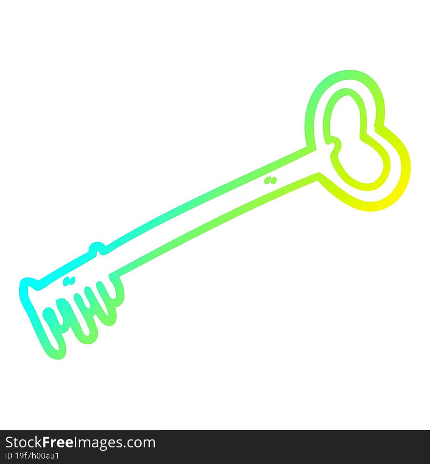 cold gradient line drawing cartoon fancy old key