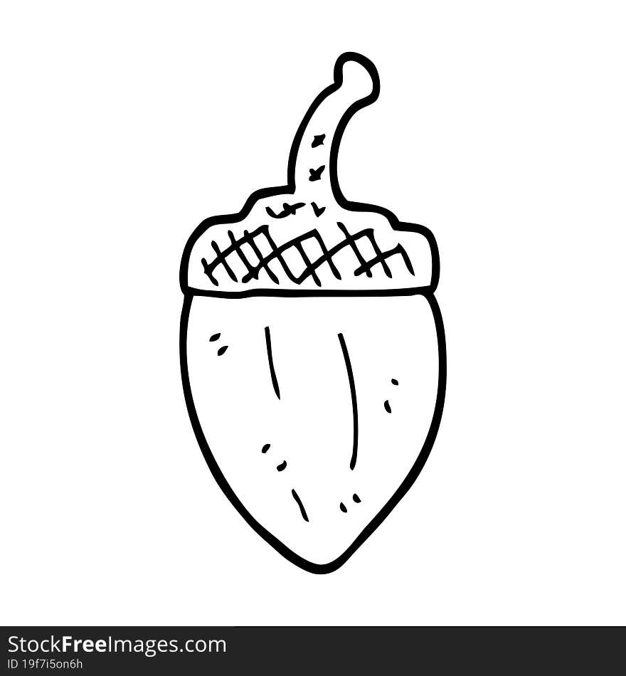 Line Drawing Cartoon Acorn