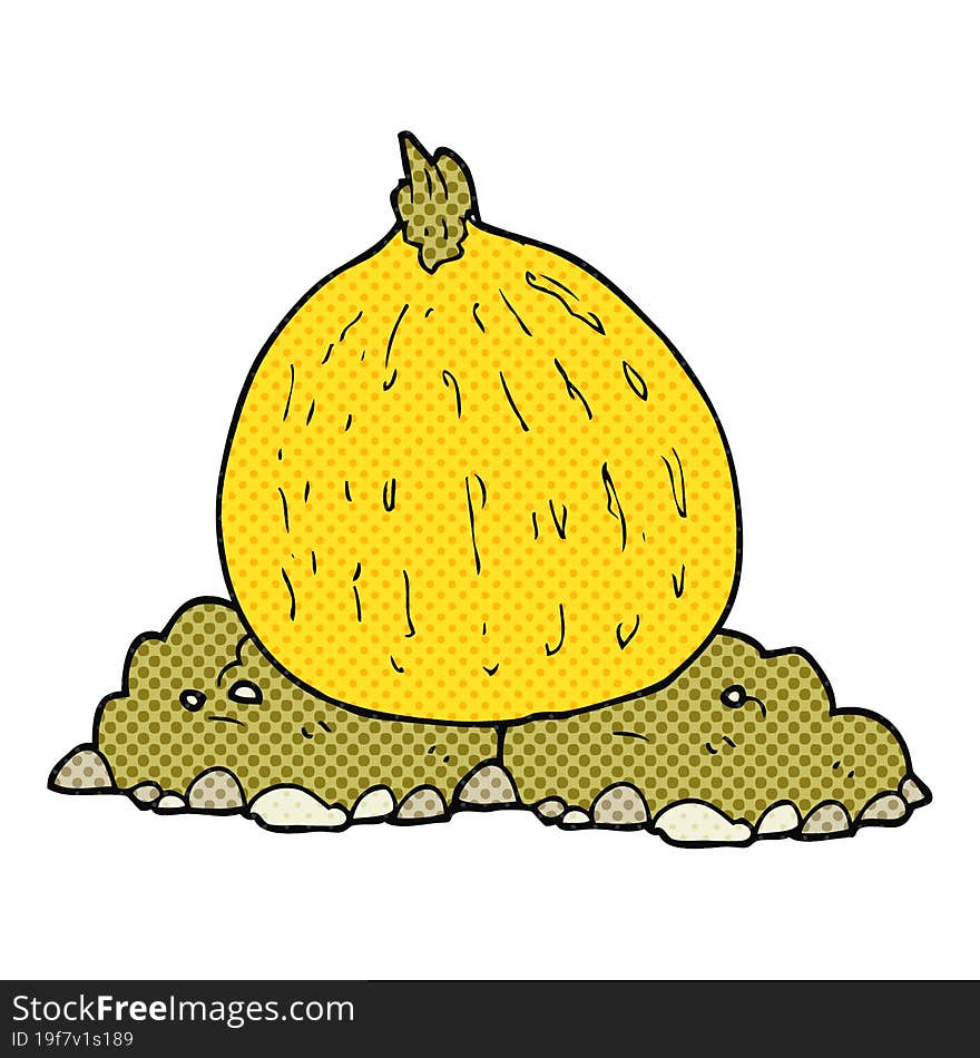 cartoon squash