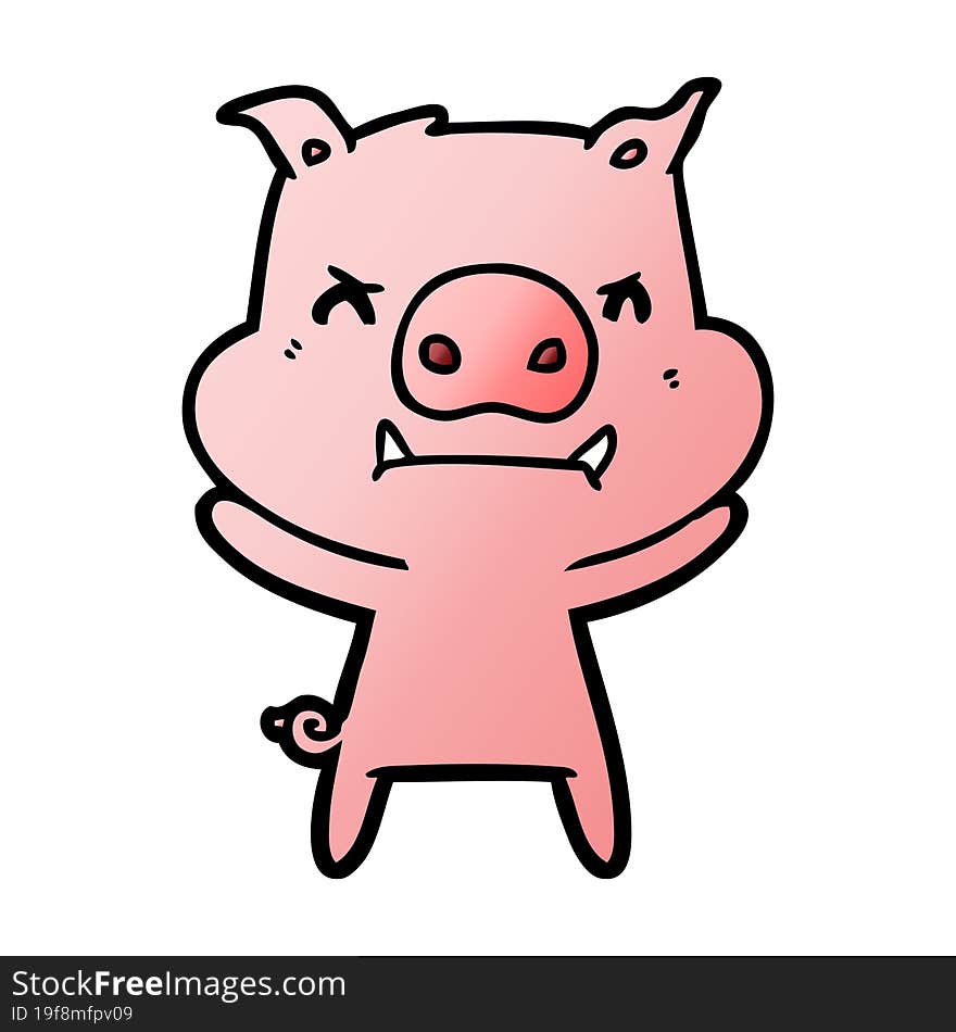 angry cartoon pig. angry cartoon pig