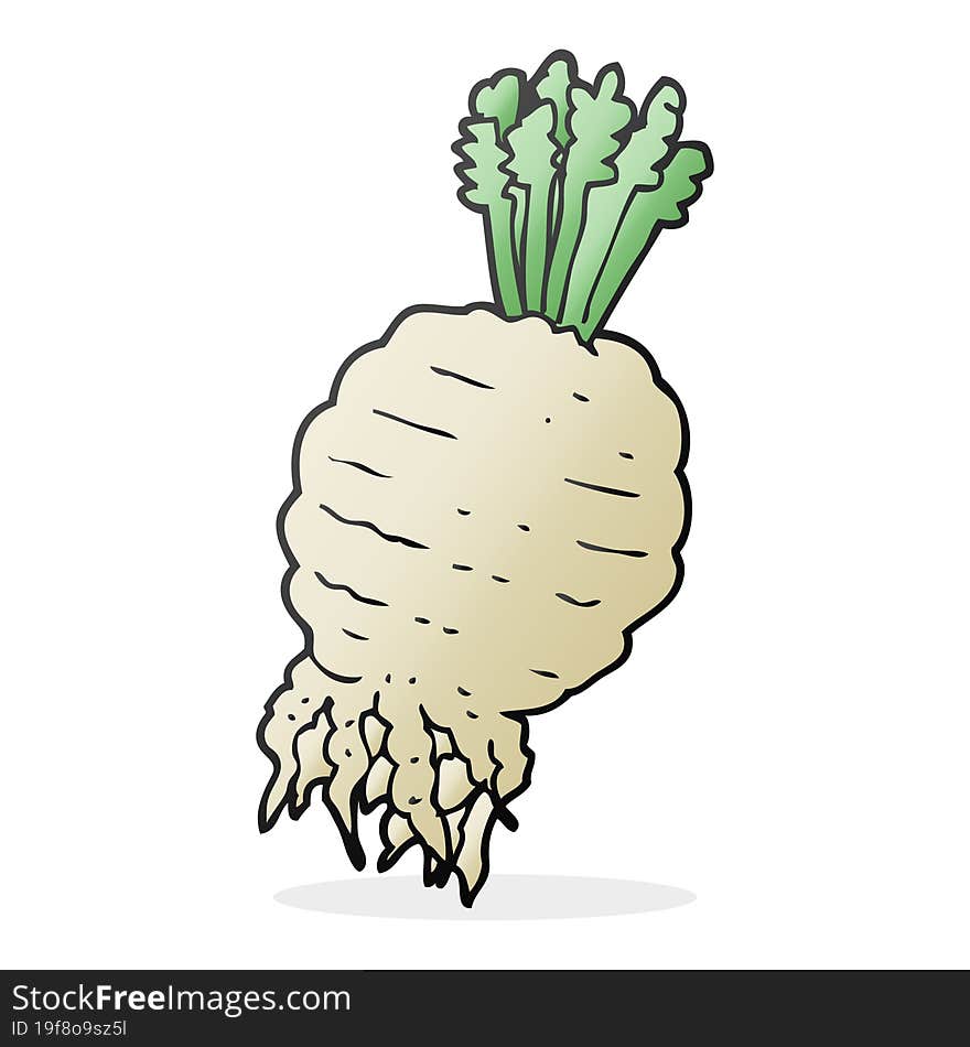 cartoon turnip