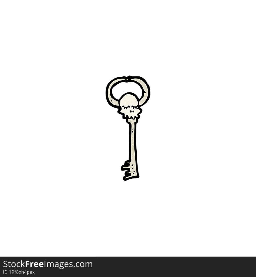 cartoon skeleton key