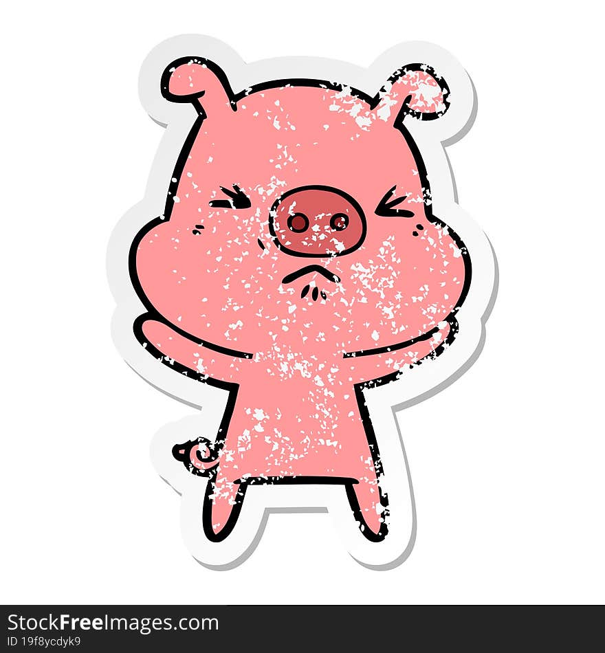 distressed sticker of a cartoon angry pig