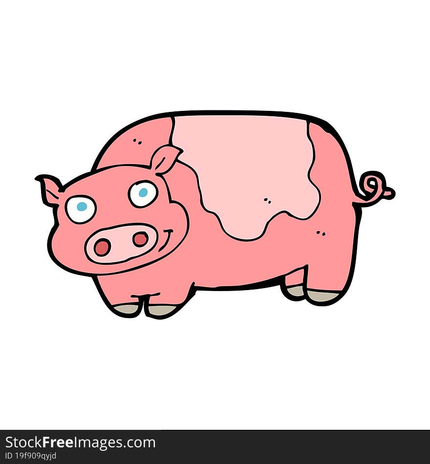 Cartoon Pig