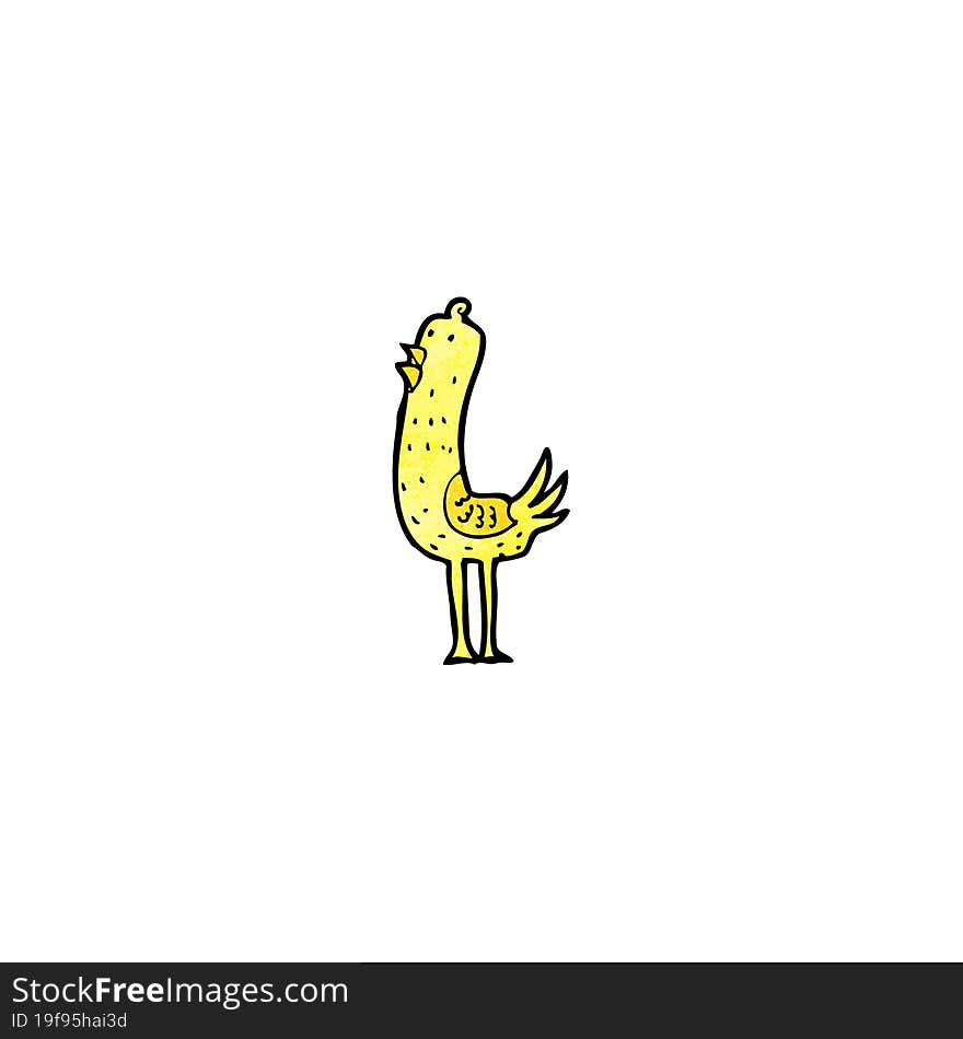 Funny Cartoon Bird