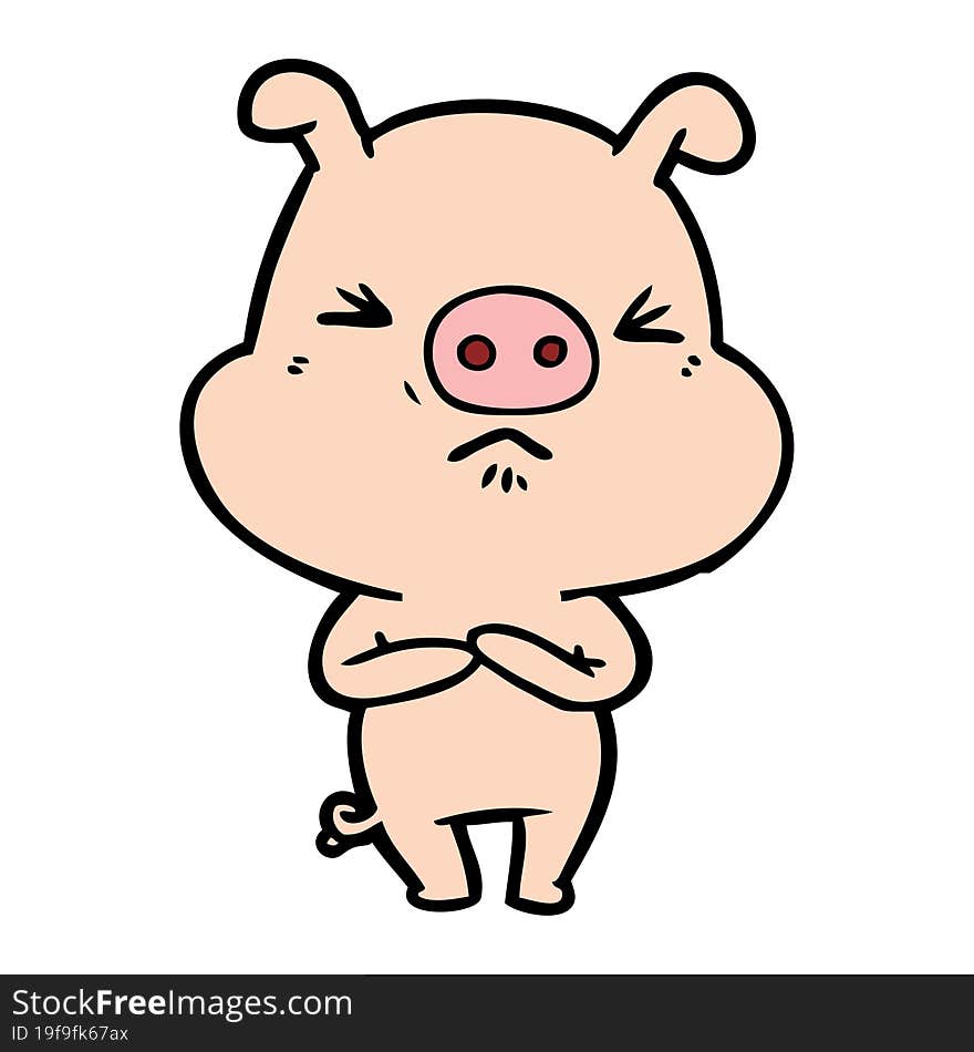 cartoon angry pig. cartoon angry pig