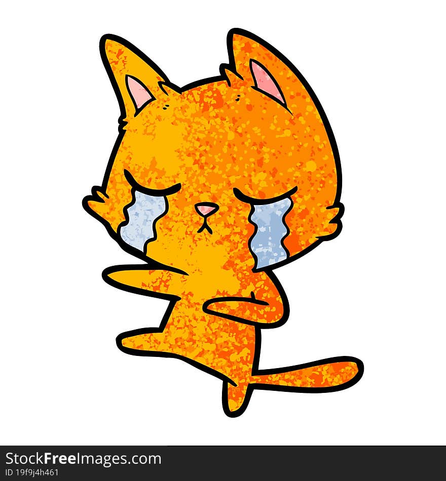 crying cartoon cat dancing. crying cartoon cat dancing