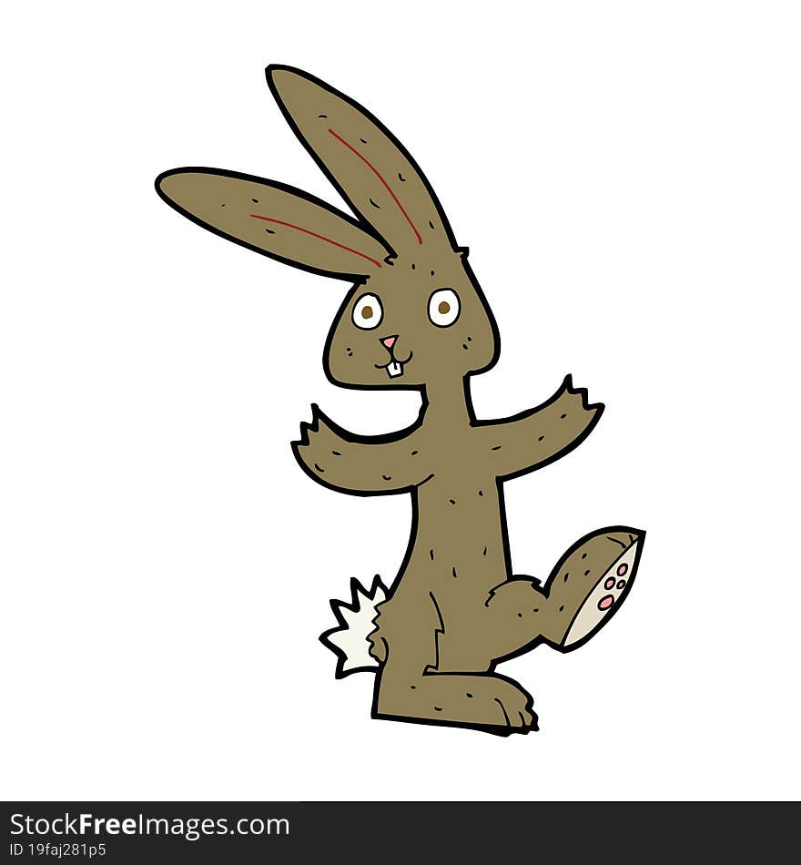 Cartoon Rabbit