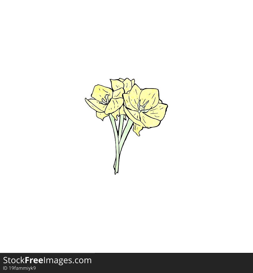 Flowers Illustration