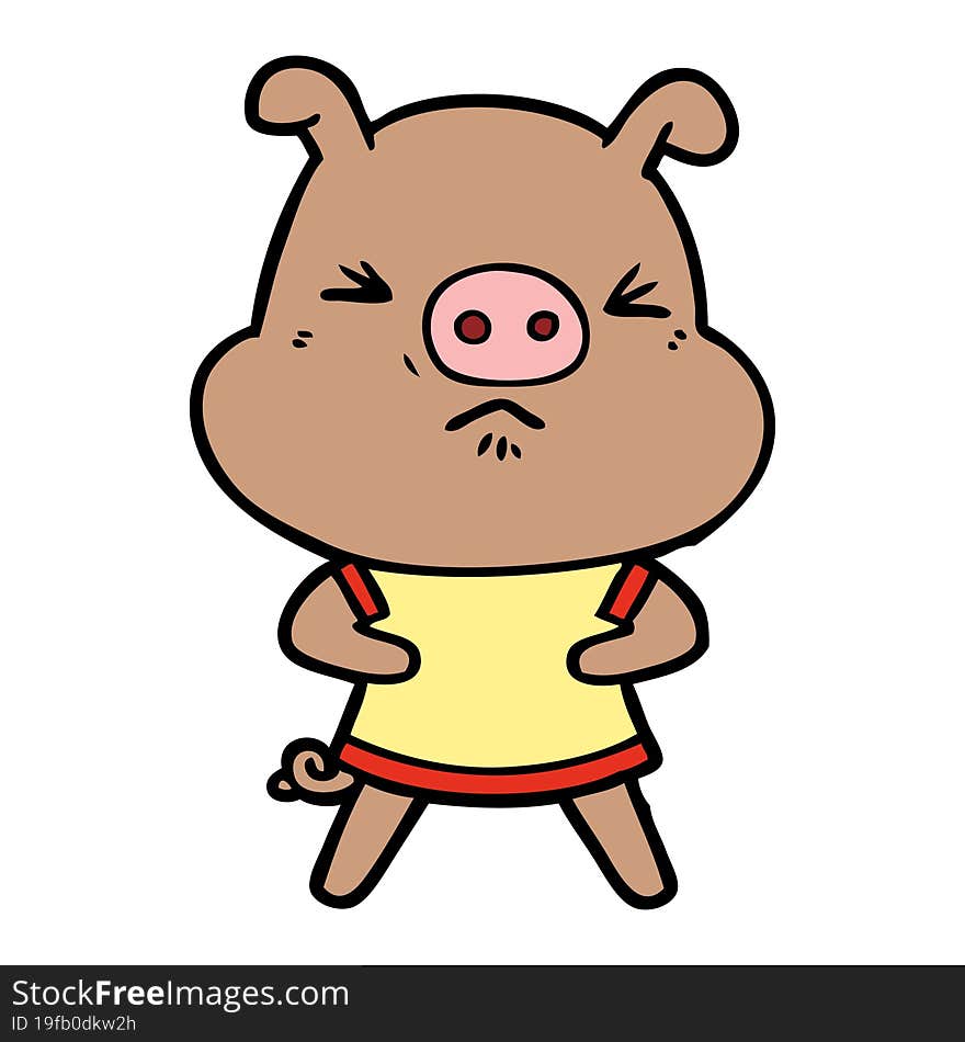 cartoon angry pig wearing tee shirt. cartoon angry pig wearing tee shirt