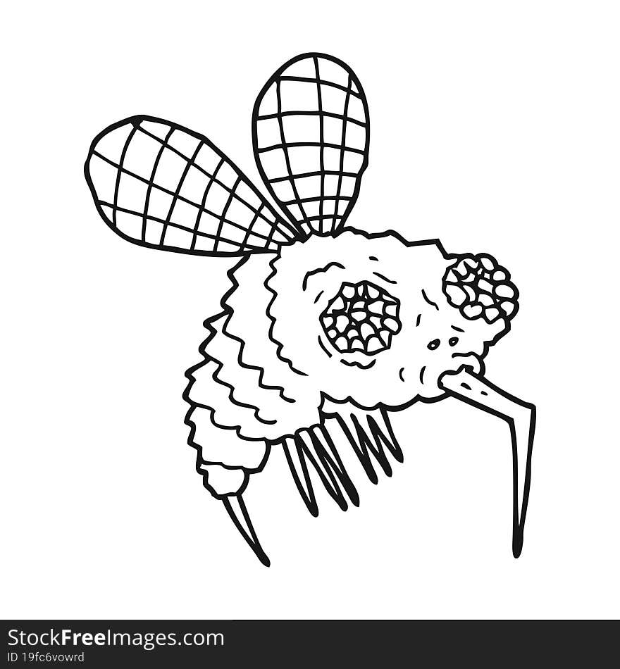 Black And White Cartoon Fly