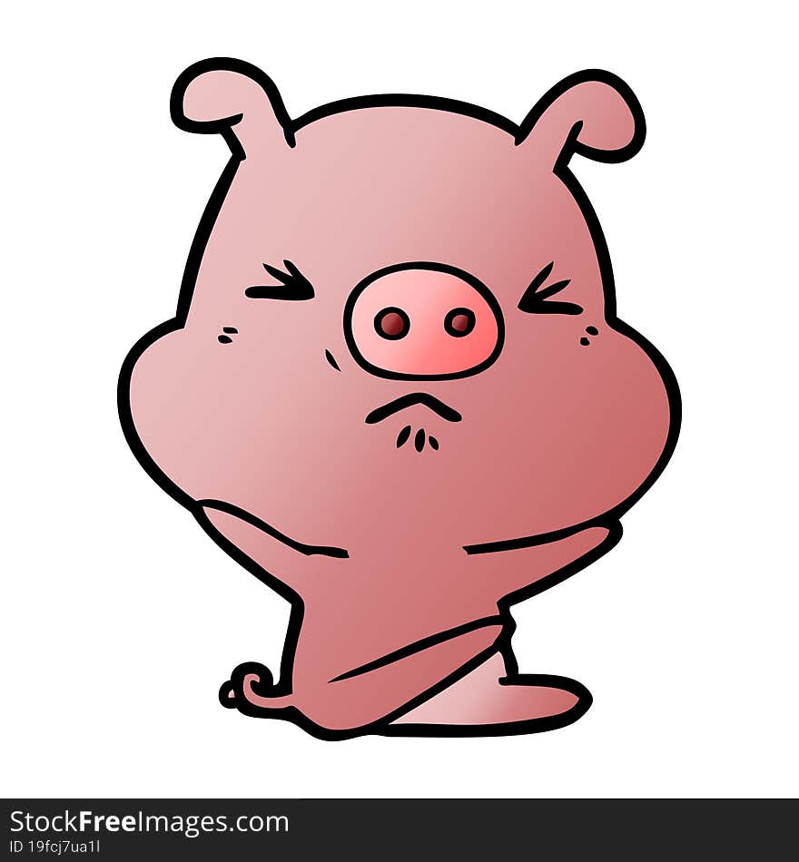 cartoon angry pig. cartoon angry pig