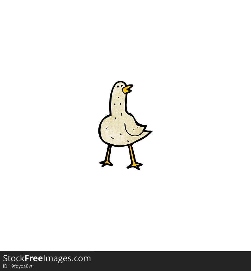 cartoon pigeon