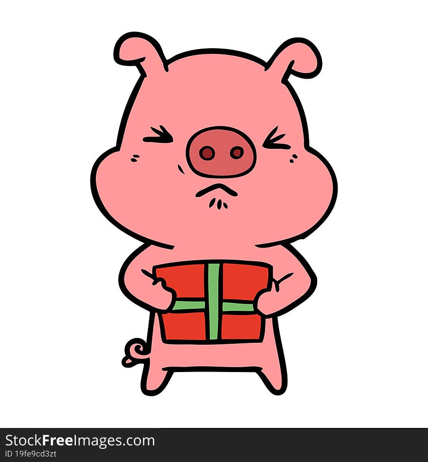 cartoon angry pig with christmas present. cartoon angry pig with christmas present