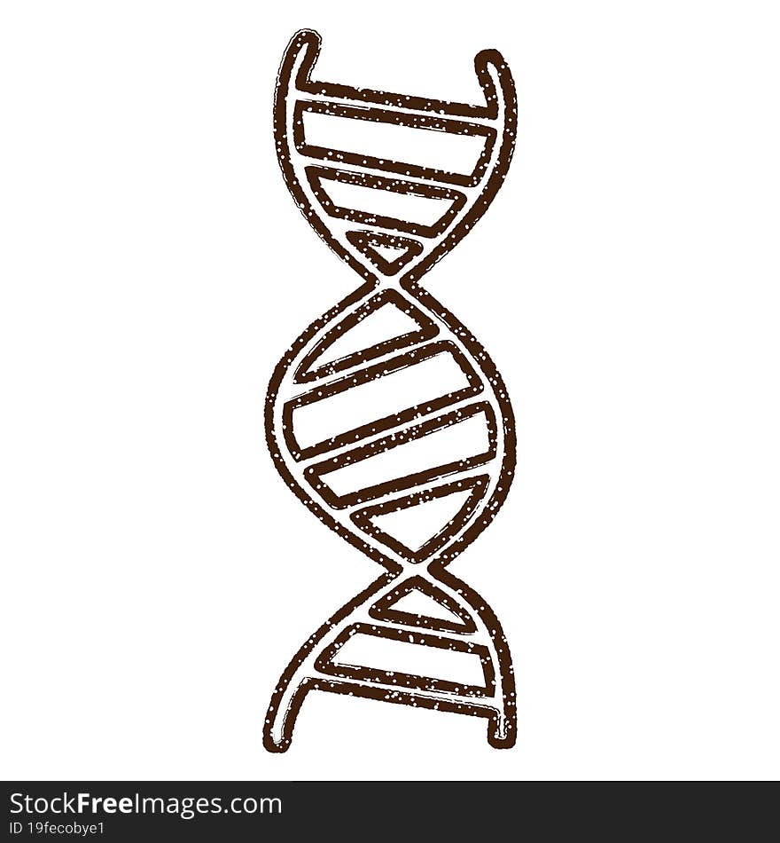 DNA Strand Charcoal Drawing