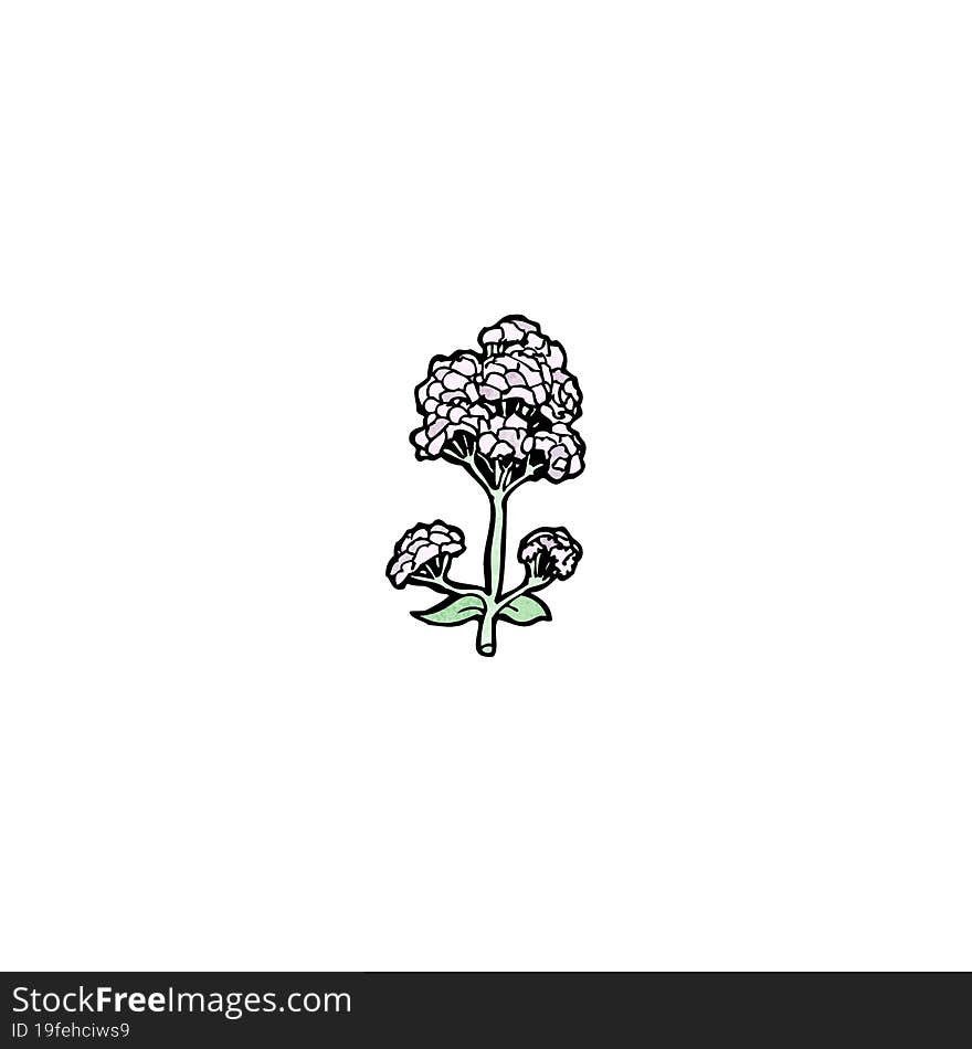 Wild Flowers Cartoon