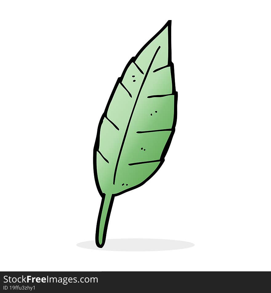 Cartoon Leaf