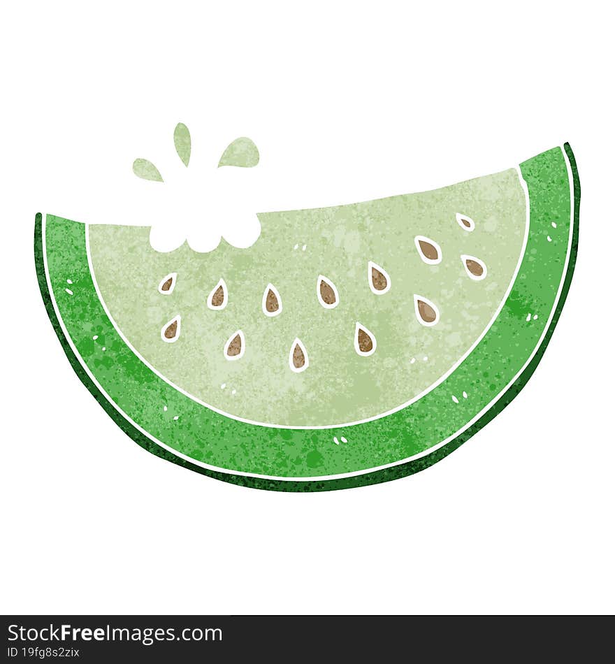 retro cartoon melon slice