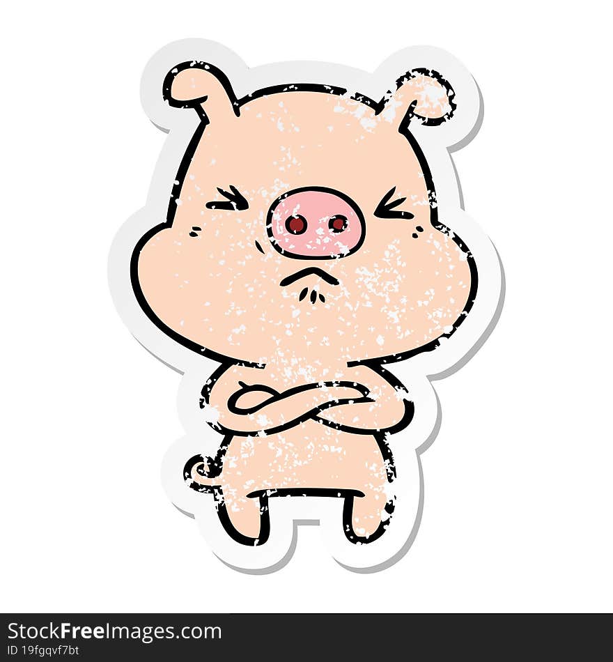 distressed sticker of a cartoon angry pig