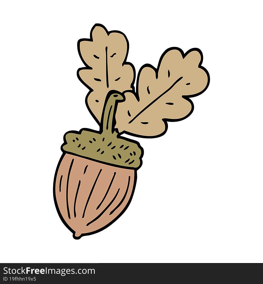 cartoon doodle acorn