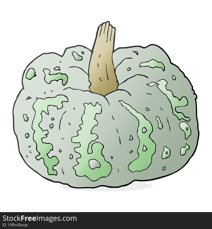 Cartoon Squash