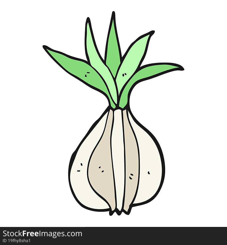 cartoon onion