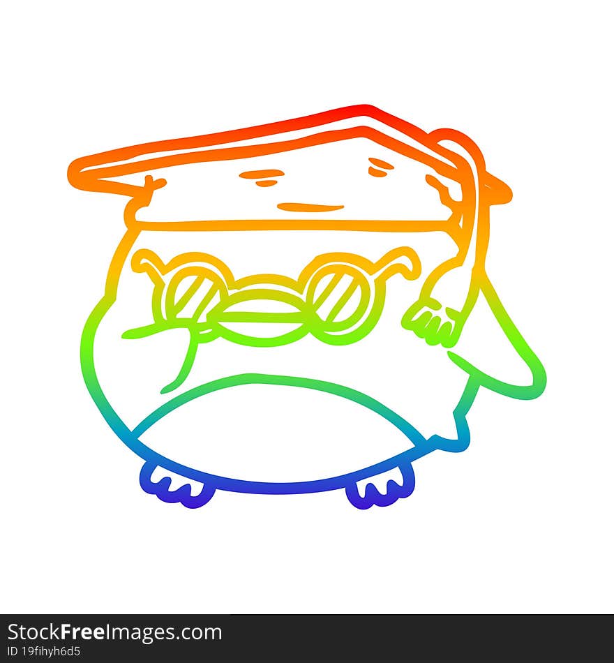 rainbow gradient line drawing clever old owl