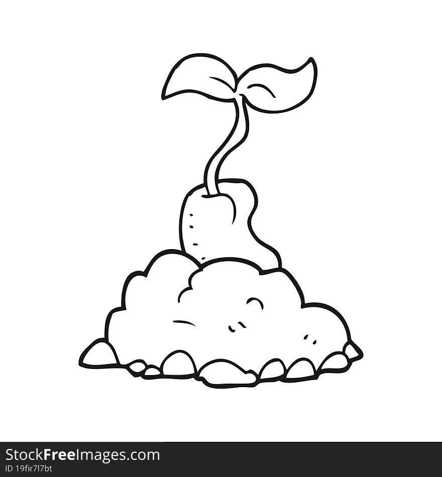 black and white cartoon sprouting seed