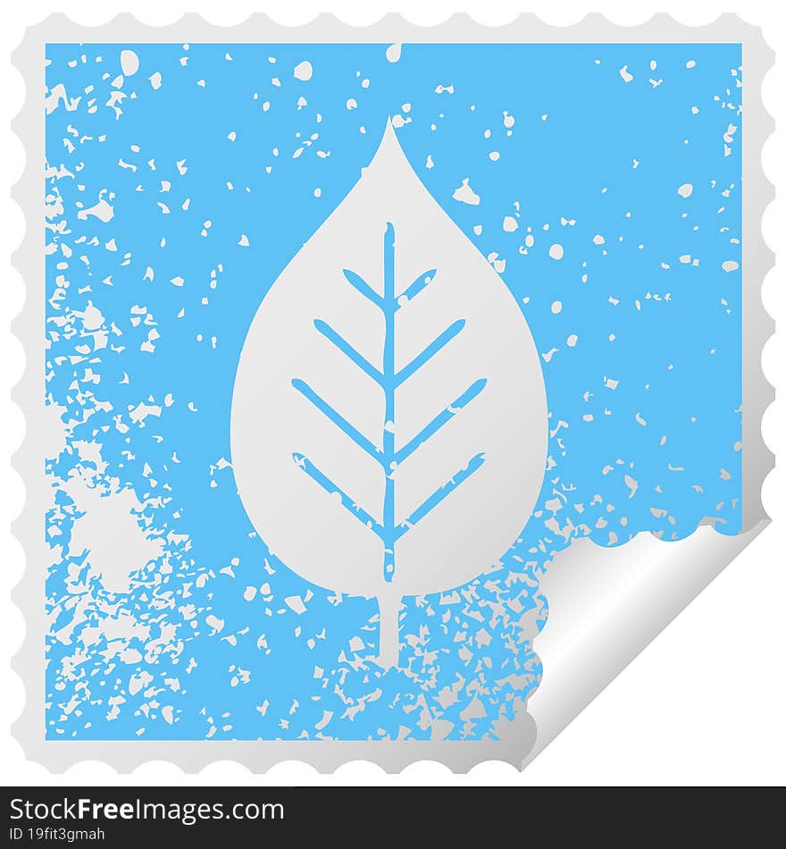 distressed square peeling sticker symbol of a green leaf