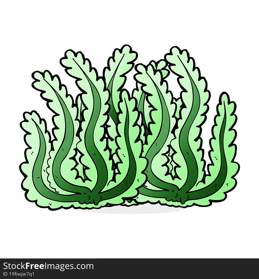 Cartoon Seaweed