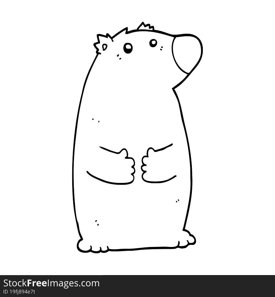 cartoon bear