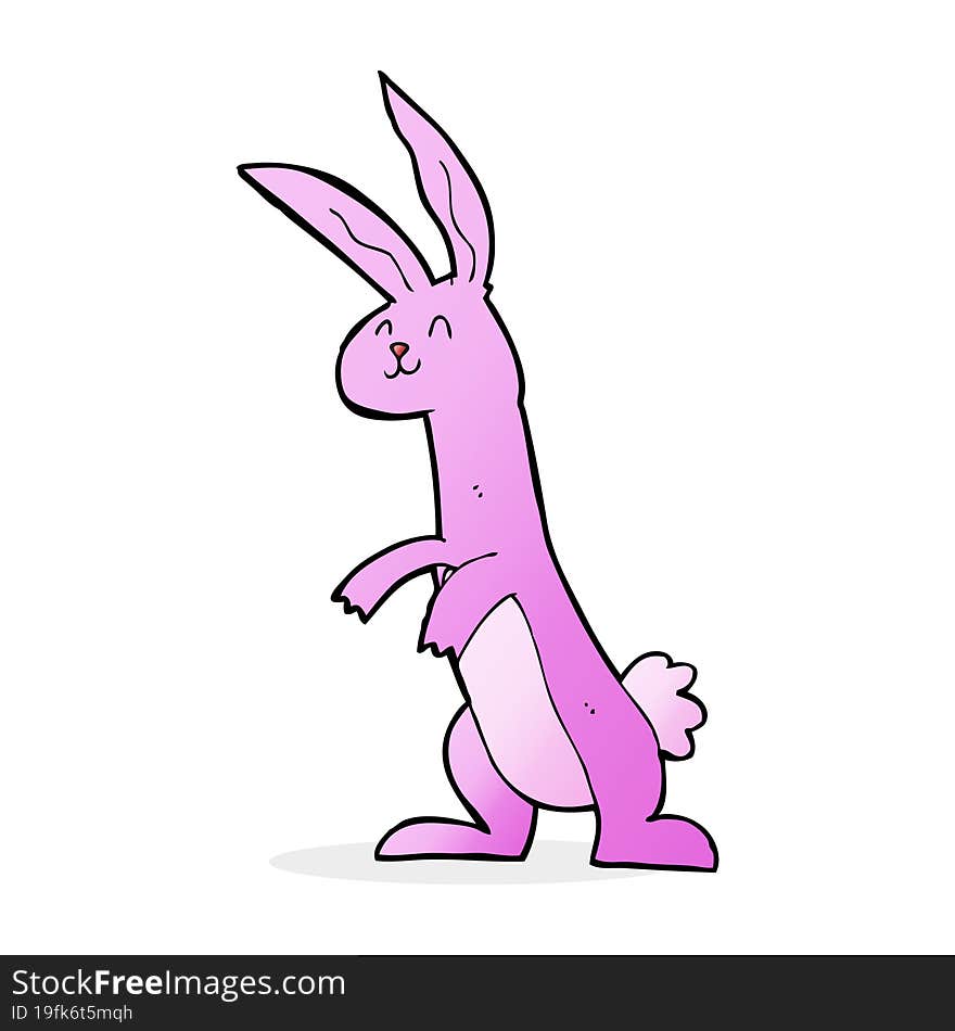 cartoon rabbit