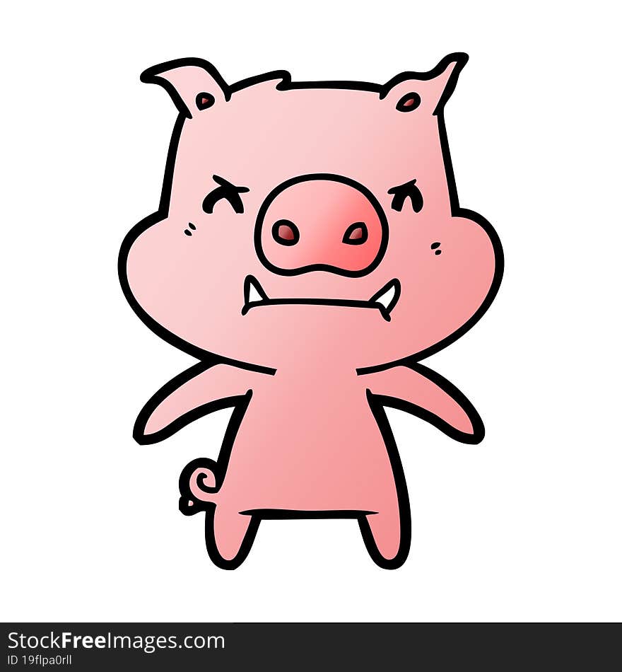 angry cartoon pig. angry cartoon pig