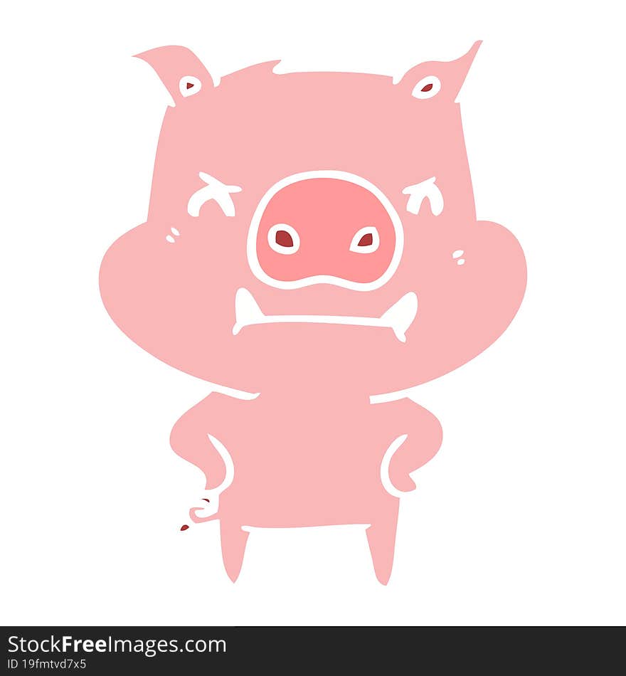 angry flat color style cartoon pig