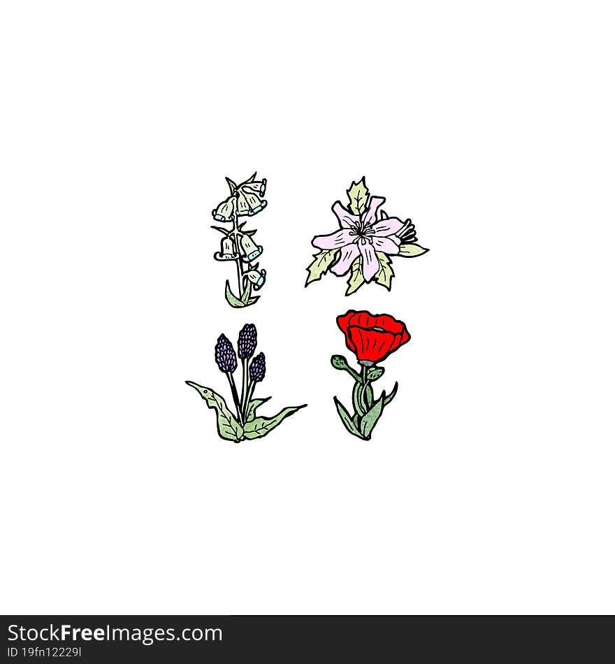 Flowers Illustration