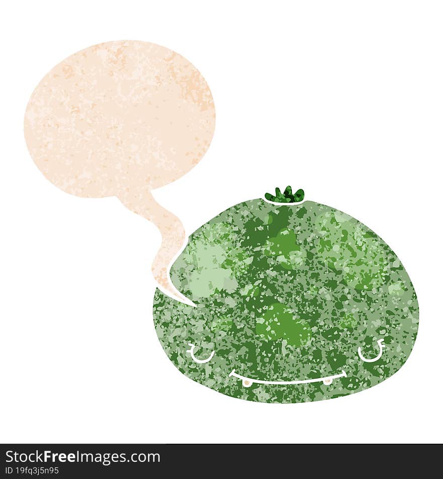 cartoon squash and speech bubble in retro textured style