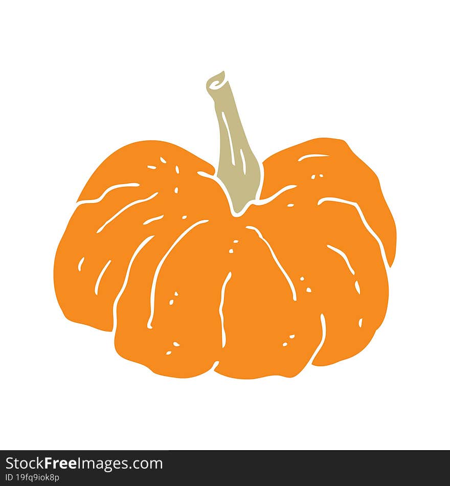 flat color style cartoon squash