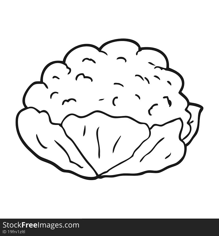 black and white cartoon cauliflower