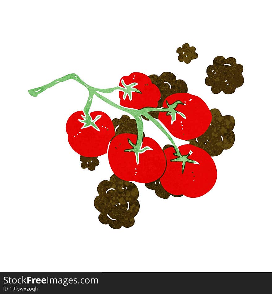 green tomatoes on vine illustration